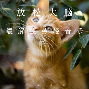 把男生困困放女生困困里视频
